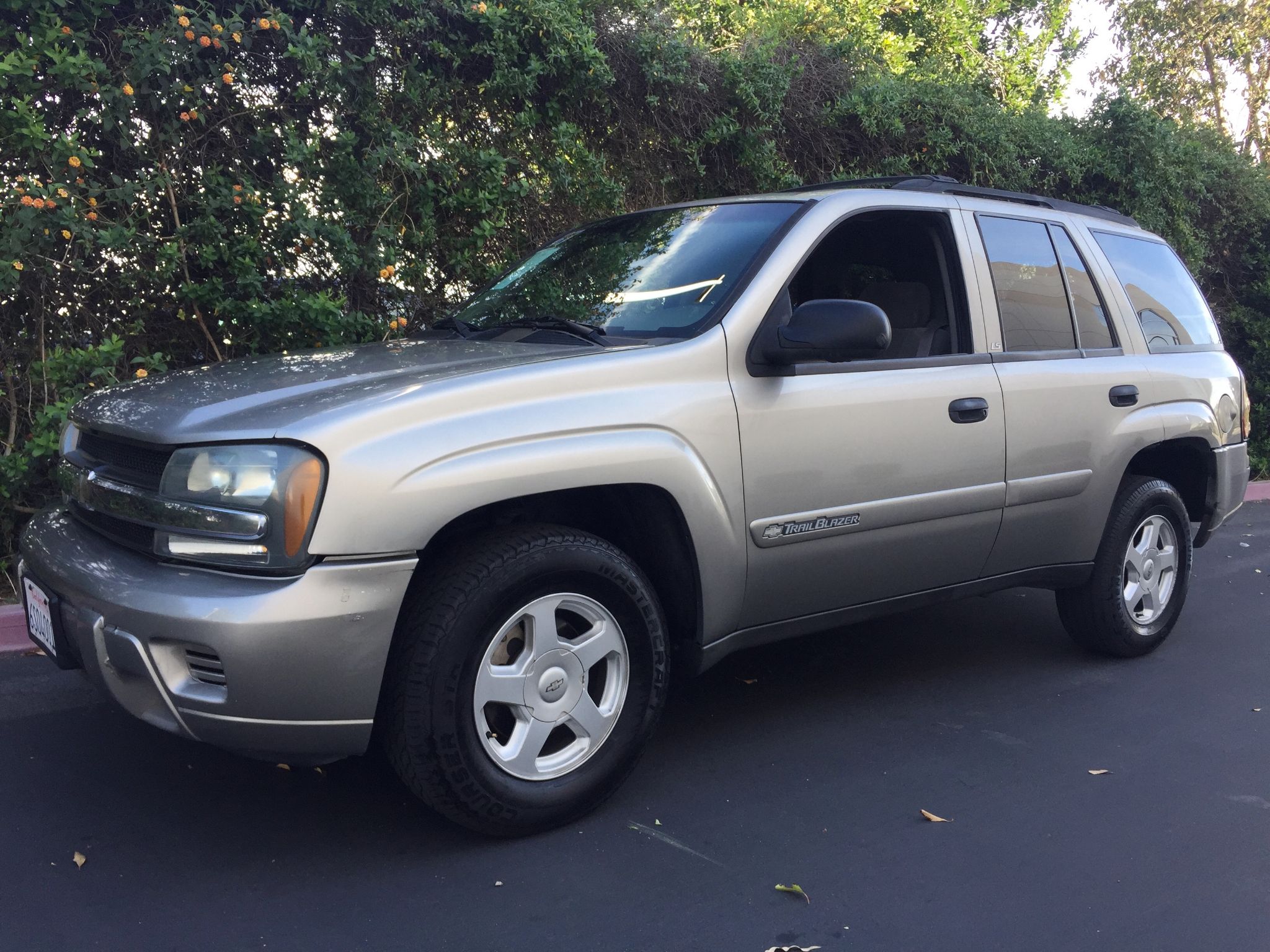 2002 chevrolet trailblazer