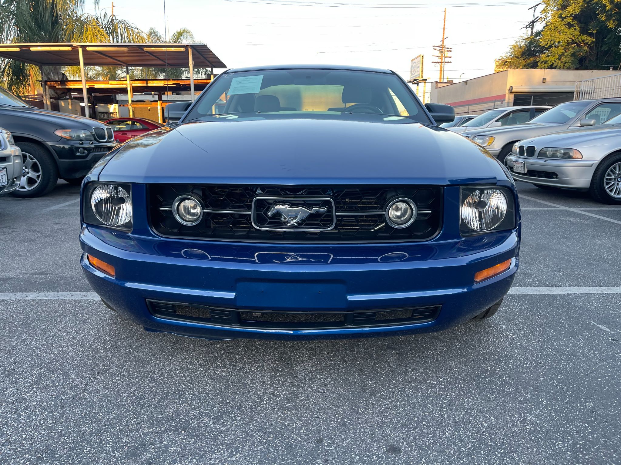 2008 Ford MUSTANG Deluxe