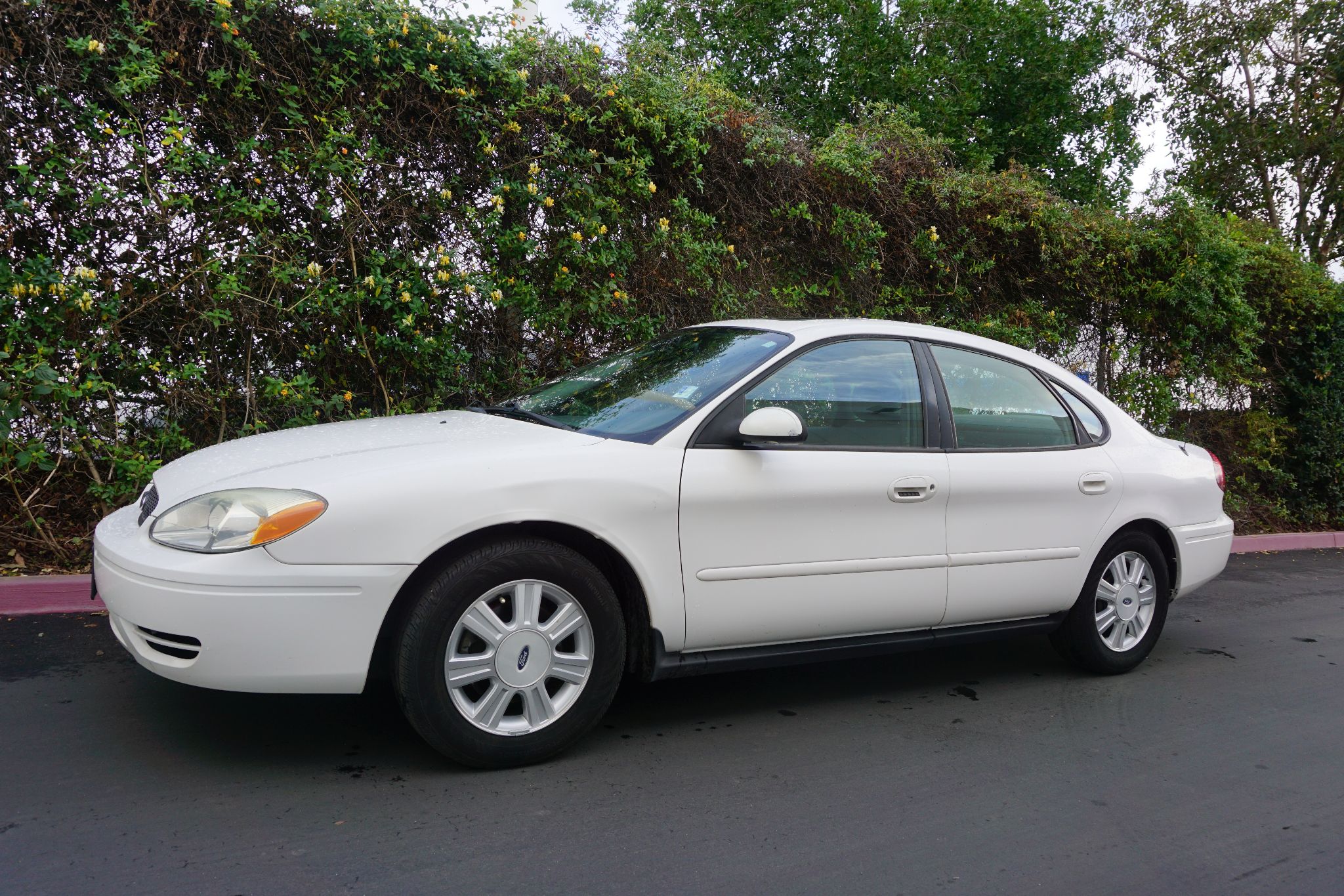 Used 2006 Ford Taurus SEL at City Cars Warehouse INC