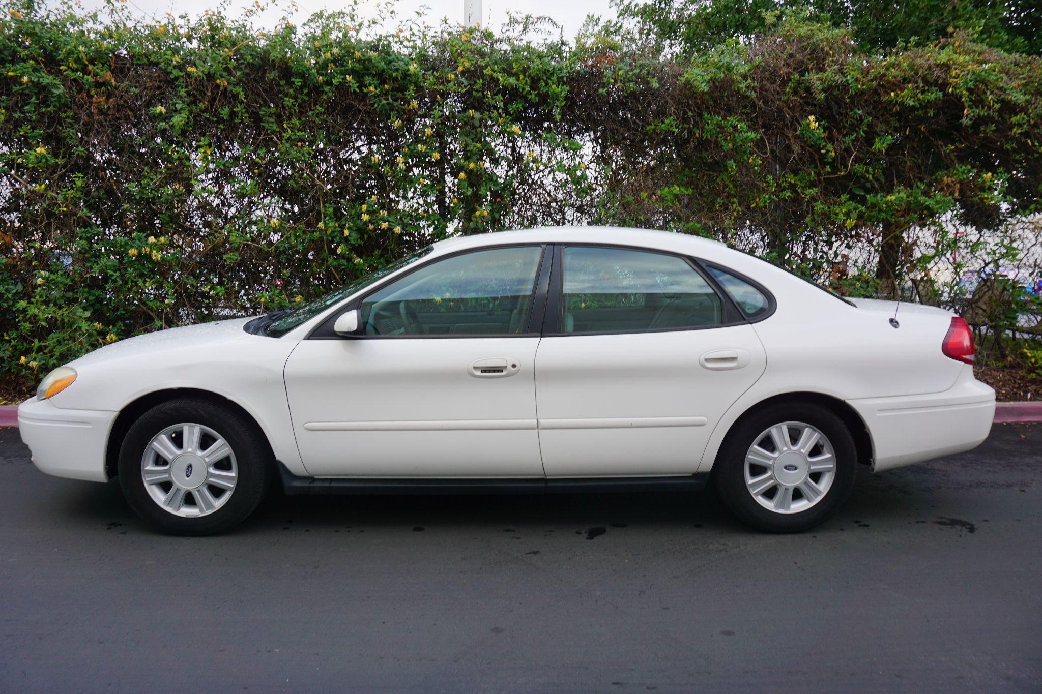 Used 2007 Ford Taurus SEL at City Cars Warehouse INC