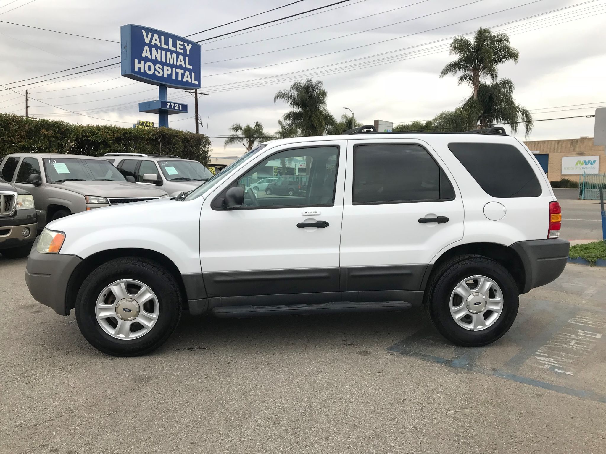 2003 Ford Escape Xlt Popular 2 Reviews