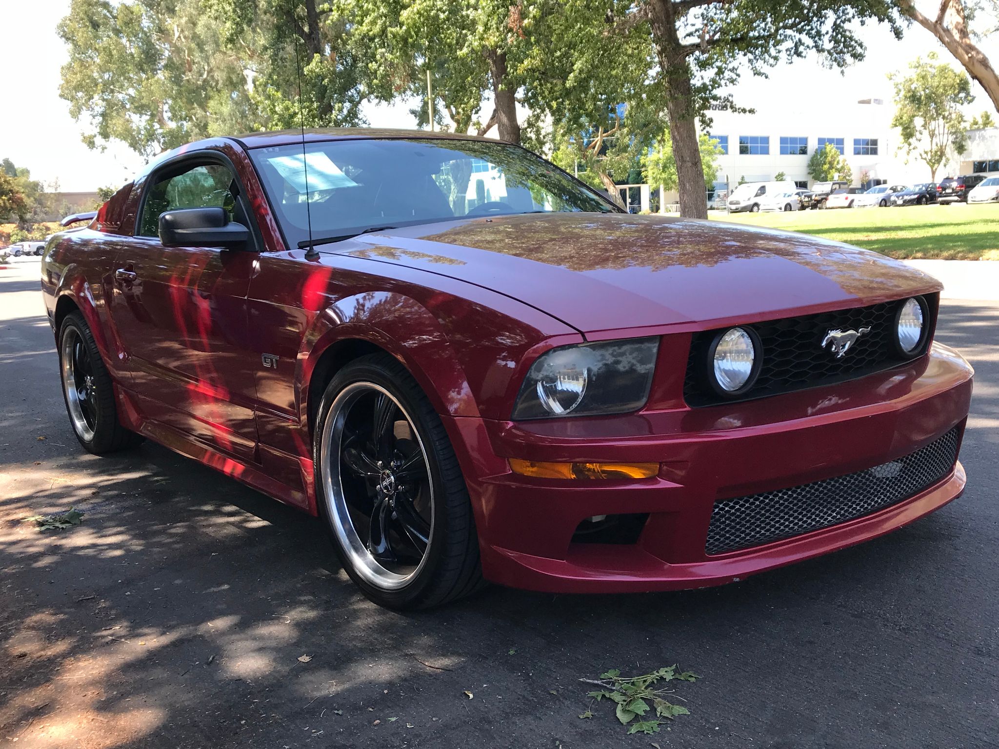 Used 2005  Ford  Mustang  GT Premium at City Cars Warehouse INC