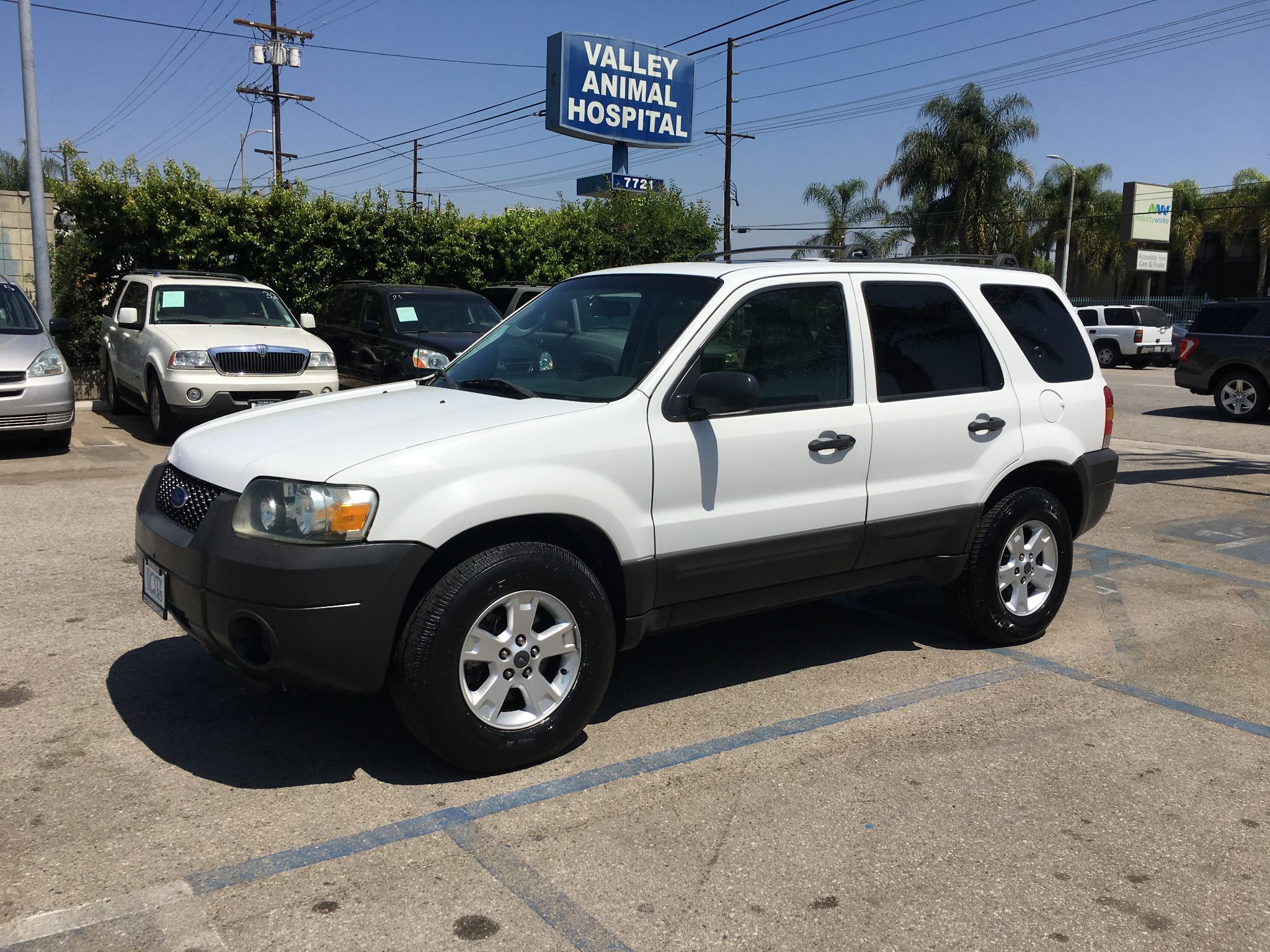2006 Ford Escape XLT