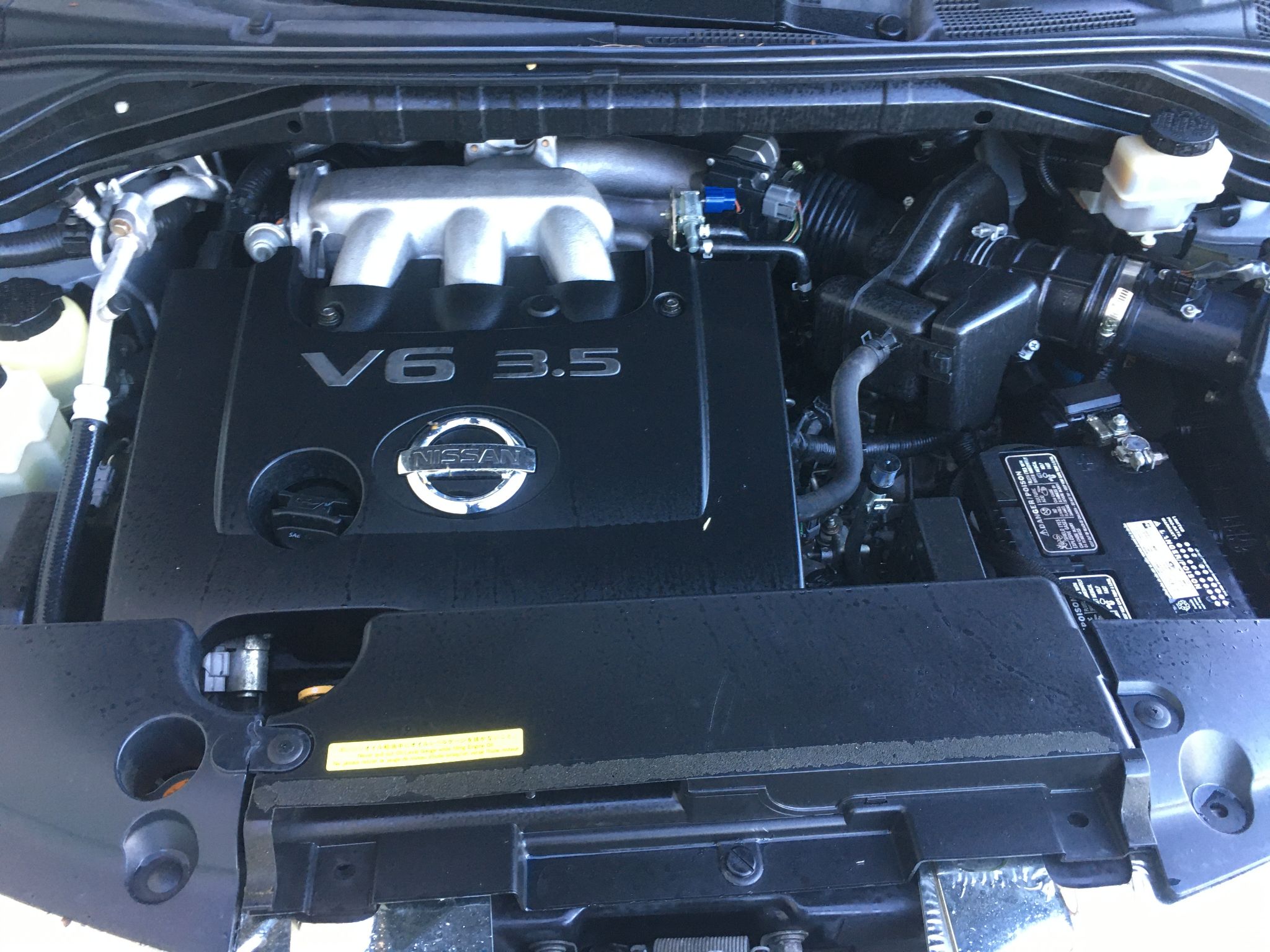 2007 Nissan Murano SE